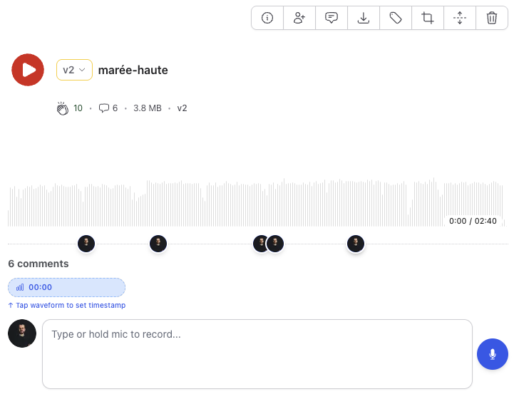 Track detail view showing waveform player