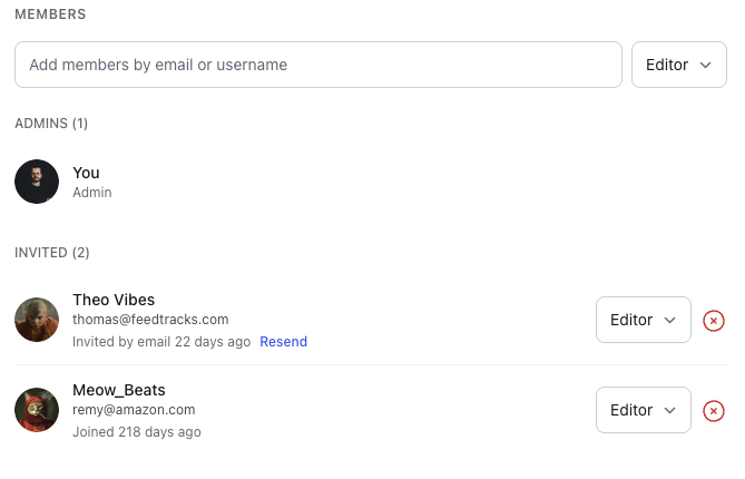 Team permissions interface